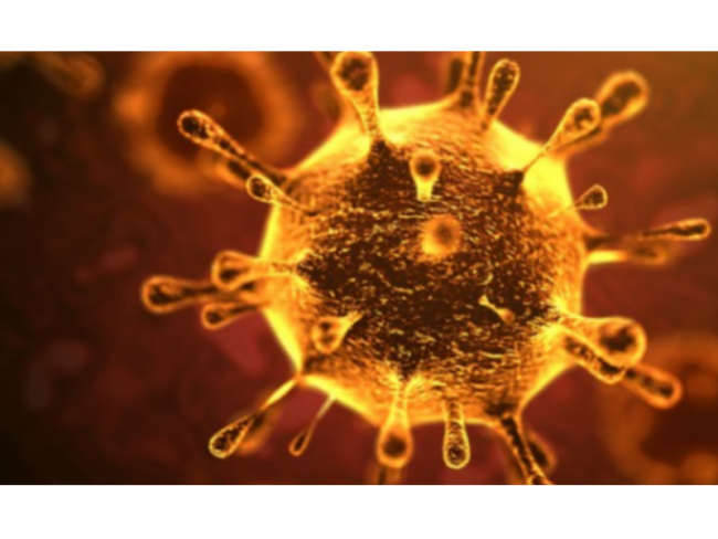 Rất nhiều sự kiện chịu ảnh hưởng bởi tác động của dịch virus corona