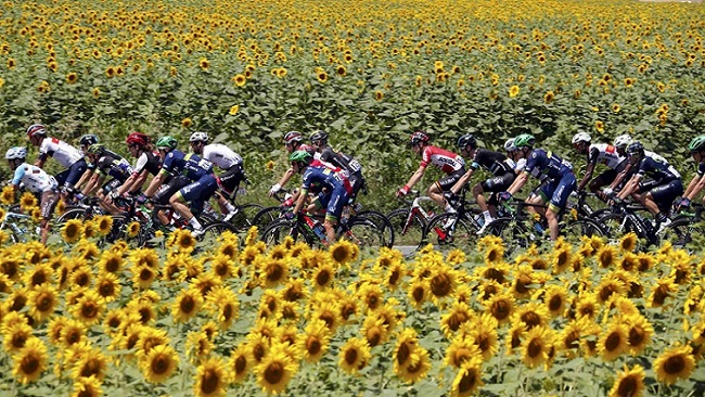 Giải đua xe đạp Tour de France cũng phải dời lịch vì coronavirus. Ảnh: SABC News.